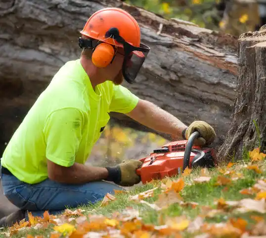 tree services Sunflower